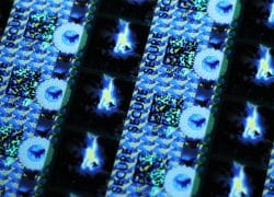 Tax and Revenue Stamp Security Solutions